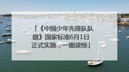 《中国少年先锋队队徽》国家标准6月1日正式实施，一图读懂
