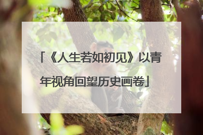 《人生若如初见》以青年视角回望历史画卷