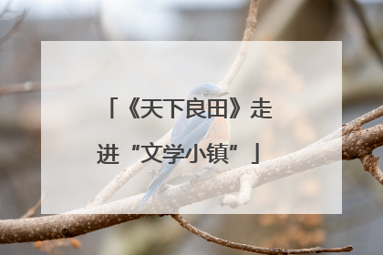 《天下良田》走进“文学小镇”