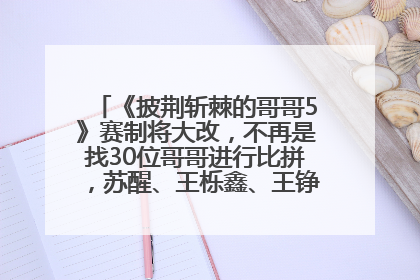 《披荆斩棘的哥哥5》赛制将大改，不再是找30位哥哥进行比拼，苏醒、王栎鑫、王铮亮、张远等多名男团选手被曝将参加