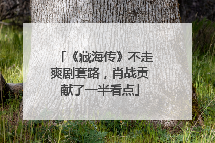 《藏海传》不走爽剧套路，肖战贡献了一半看点