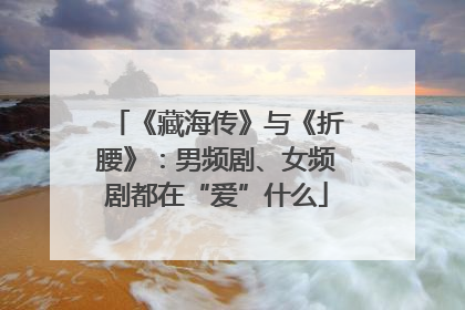 《藏海传》与《折腰》：男频剧、女频剧都在“爱”什么