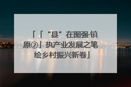 「“县”在图强·镇原②」执产业发展之笔 绘乡村振兴新卷