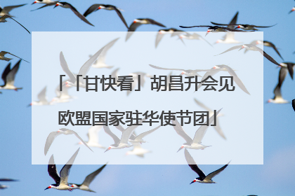 「甘快看」胡昌升会见欧盟国家驻华使节团