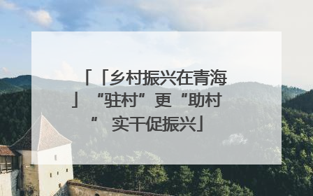 「乡村振兴在青海」“驻村”更“助村” 实干促振兴