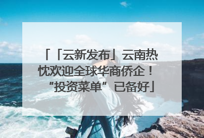 「云新发布」云南热忱欢迎全球华商侨企！“投资菜单”已备好