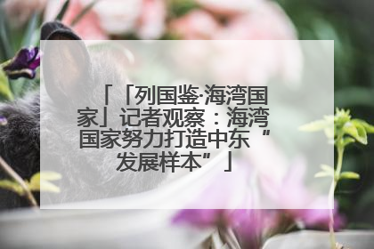 「列国鉴·海湾国家」记者观察：海湾国家努力打造中东“发展样本”
