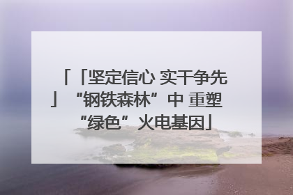 「坚定信心 实干争先」“钢铁森林”中 重塑“绿色”火电基因