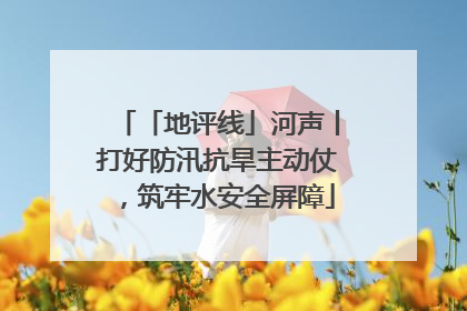 「地评线」河声丨打好防汛抗旱主动仗，筑牢水安全屏障