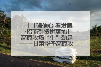 「强信心 看发展·招商引资拼落地」高原牧场“牛”劲足——甘肃华予高原牧场高标准奶牛肉牛养殖项目一线见闻