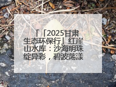 「2025甘肃生态环保行」红崖山水库：沙海明珠绽异彩，碧波荡漾润绿洲