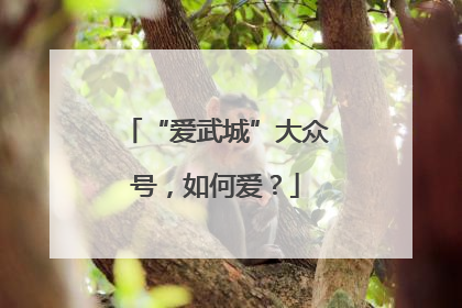 “爱武城”大众号，如何爱？