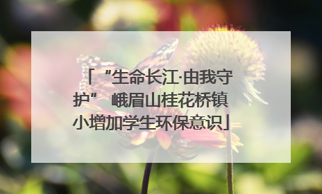 “生命长江·由我守护” 峨眉山桂花桥镇小增加学生环保意识