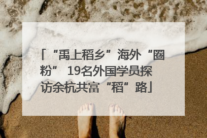 “禹上稻乡”海外“圈粉” 19名外国学员探访余杭共富“稻”路