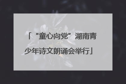 “童心向党”湖南青少年诗文朗诵会举行