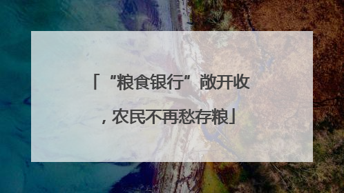 “粮食银行”敞开收，农民不再愁存粮