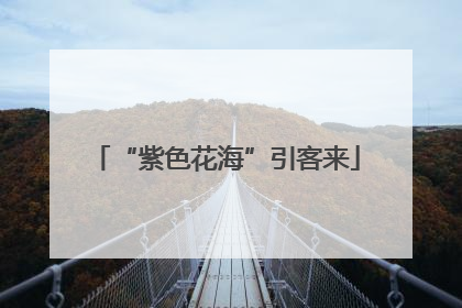 “紫色花海”引客来