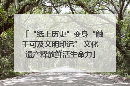 “纸上历史”变身“触手可及文明印记” 文化遗产释放鲜活生命力