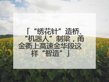 “绣花针”造桥、“机器人”制梁，甬金衢上高速金华段这样“智造”
