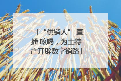 “供销人” 直播 吆喝，为土特产开辟数字销路