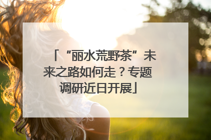 “丽水荒野茶”未来之路如何走？专题调研近日开展