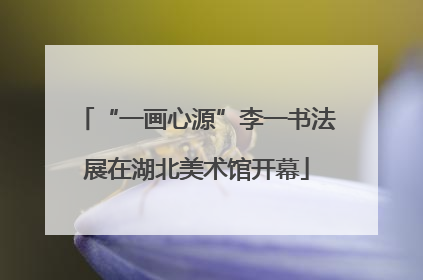“一画心源”李一书法展在湖北美术馆开幕