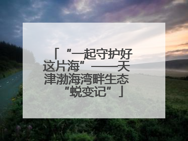 “一起守护好这片海”——天津渤海湾畔生态“蜕变记”