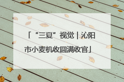“三夏”视觉｜沁阳市小麦机收圆满收官