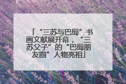 “三苏与巴蜀”书画文献展开幕，“三苏父子”的“巴蜀朋友圈”人物亮相
