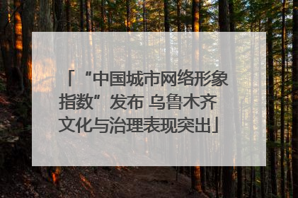 “中国城市网络形象指数”发布 乌鲁木齐文化与治理表现突出