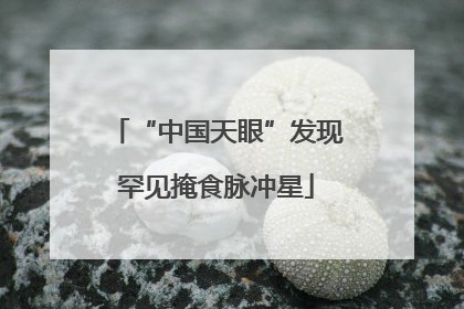 “中国天眼”发现罕见掩食脉冲星
