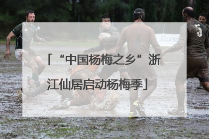 “中国杨梅之乡”浙江仙居启动杨梅季