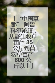 “中国草都” 阿鲁科尔沁旗：从野生牧草亩产 35 公斤到苜蓿草亩产 800 公斤以上