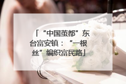 “中国茧都”东台富安镇：“一根丝”编织富民路