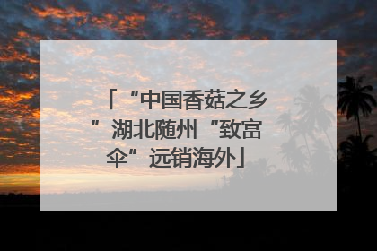 “中国香菇之乡”湖北随州“致富伞”远销海外