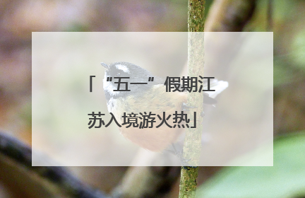 “五一”假期江苏入境游火热