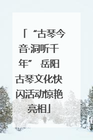 “古琴今音·洞听千年” 岳阳古琴文化快闪活动惊艳亮相