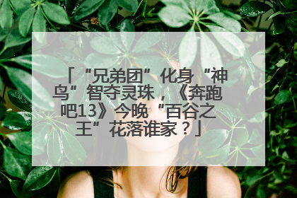 “兄弟团”化身“神鸟”智夺灵珠，《奔跑吧13》今晚“百谷之王”花落谁家？