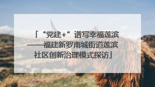 “党建+”谱写幸福莲滨——福建新罗南城街道莲滨社区创新治理模式探访