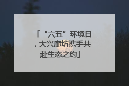 “六五”环境日，大兴廊坊携手共赴生态之约