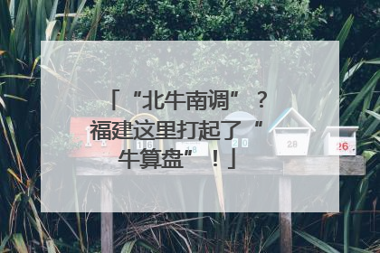 “北牛南调”？福建这里打起了“牛算盘”！