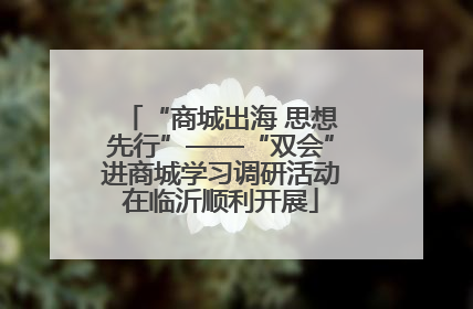 “商城出海 思想先行”——“双会”进商城学习调研活动在临沂顺利开展