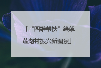 “四维帮扶”绘就莲湖村振兴新图景