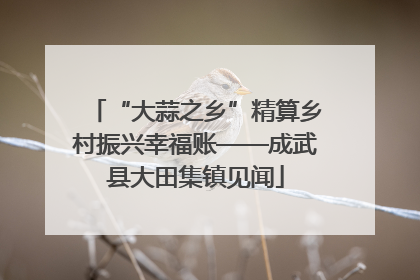“大蒜之乡”精算乡村振兴幸福账——成武县大田集镇见闻