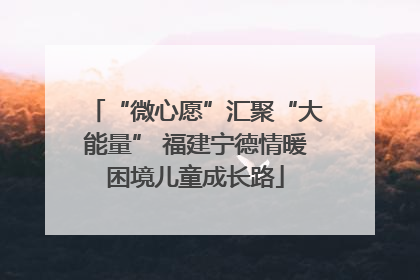 “微心愿”汇聚“大能量” 福建宁德情暖困境儿童成长路
