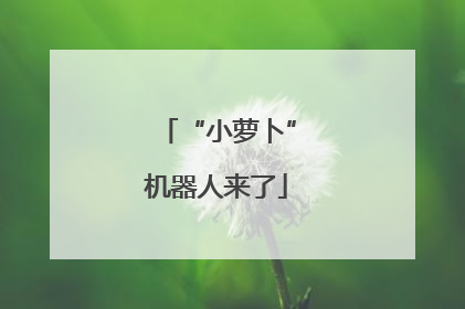“小萝卜”机器人来了