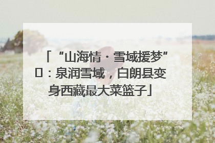 “山海情・雪域援梦”⑪：泉润雪域，白朗县变身西藏最大菜篮子