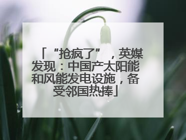 “抢疯了”，英媒发现：中国产太阳能和风能发电设施，备受邻国热捧