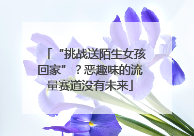 “挑战送陌生女孩回家”？恶趣味的流量赛道没有未来
