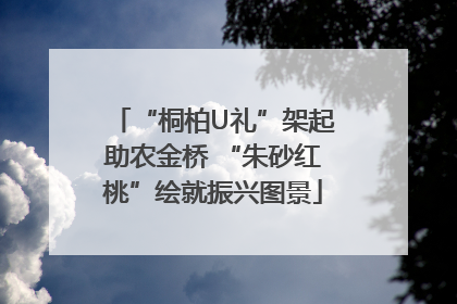“桐柏U礼”架起助农金桥 “朱砂红桃”绘就振兴图景